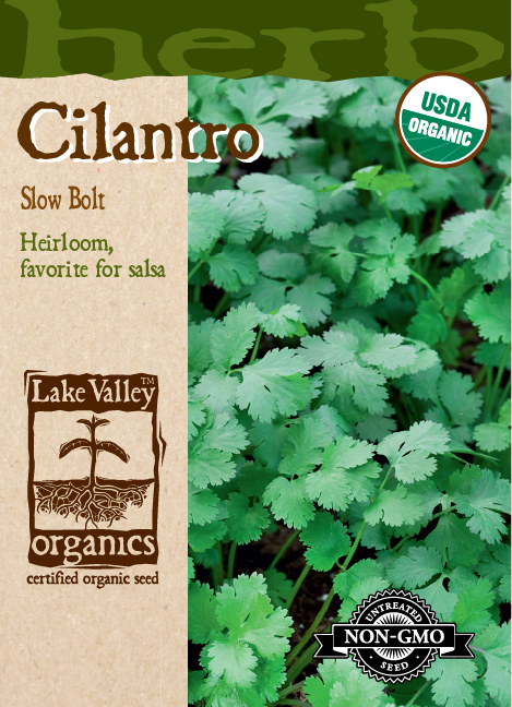 Cilantro Slow Bolt - Item #650