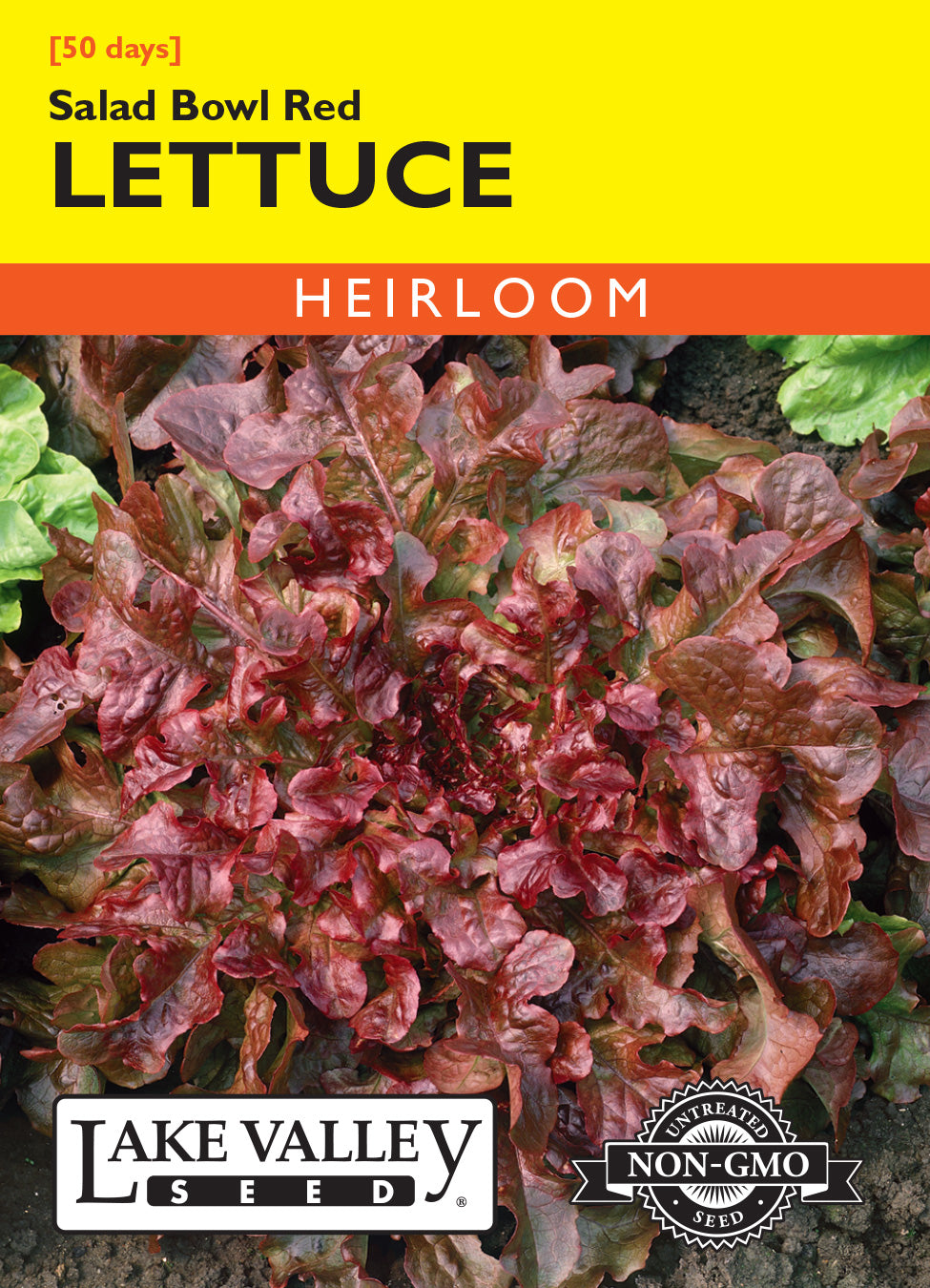 Lettuce Salad Bowl Red - Item #673