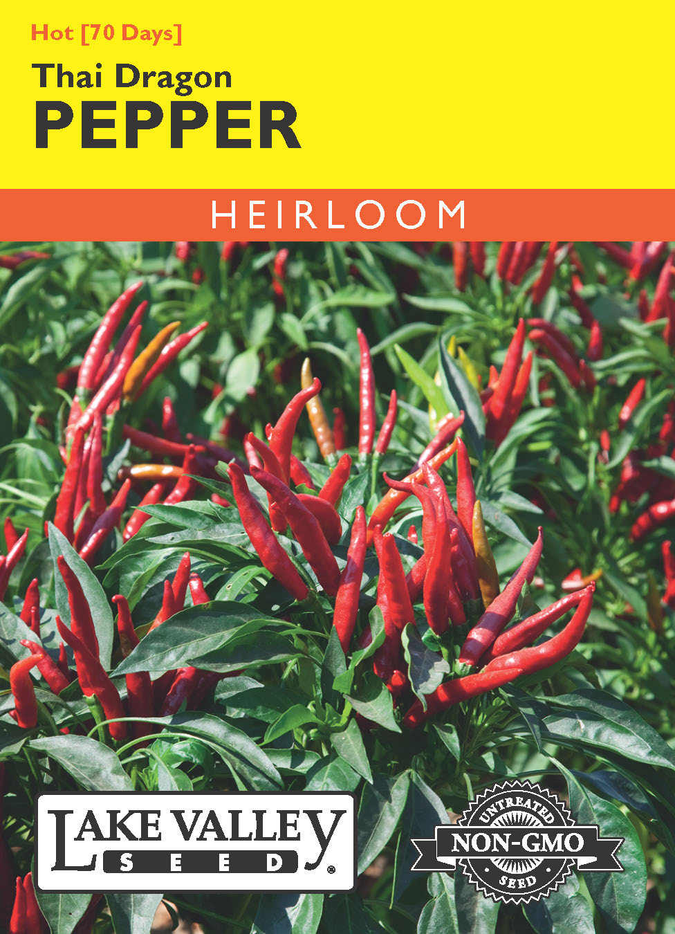 Pepper Hot Thai Dragon - Item #674