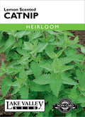 Catnip Lemon Scented - Item #681