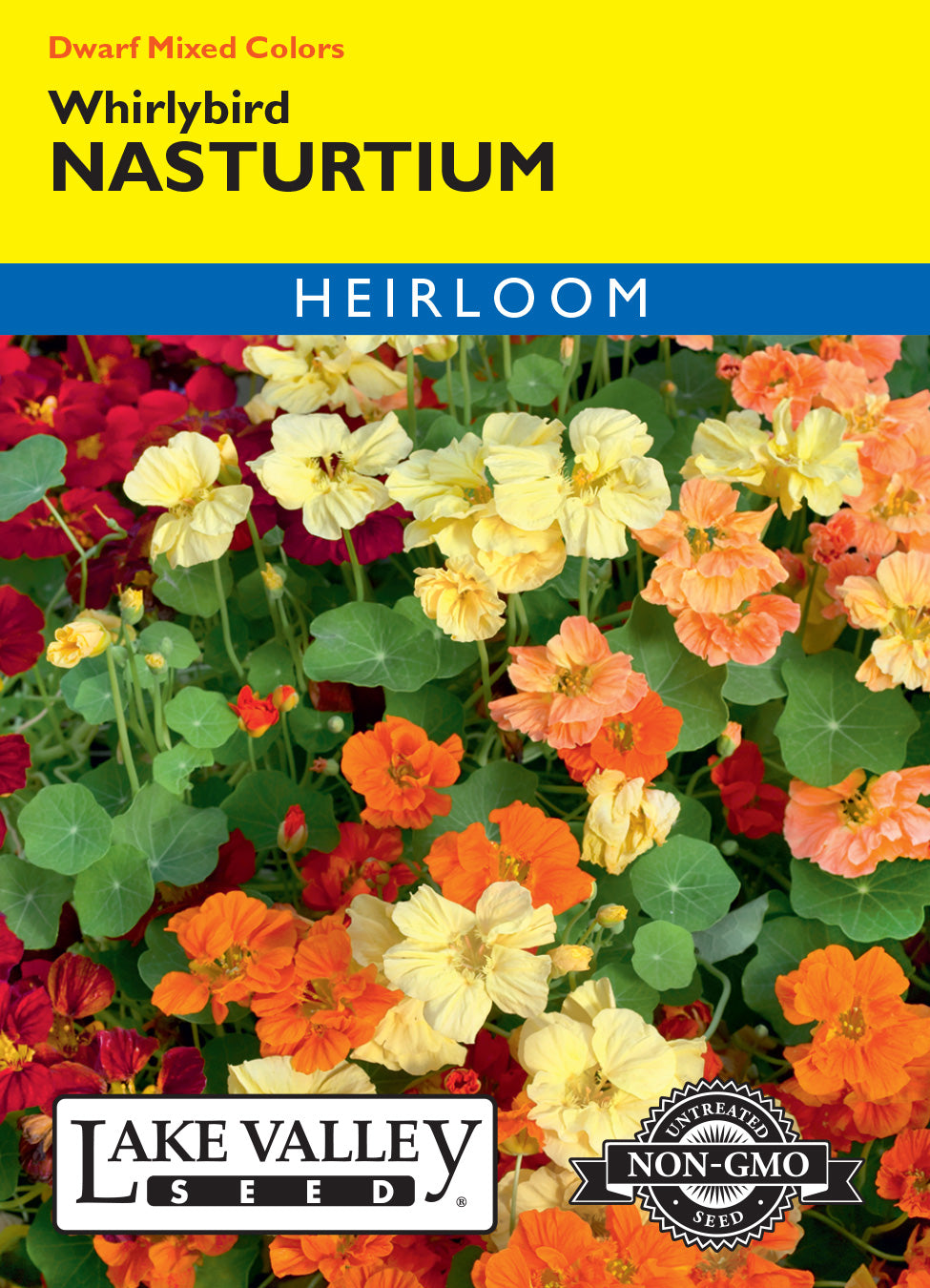 Nasturtium Whirlybird Mixed Colors - Item #688