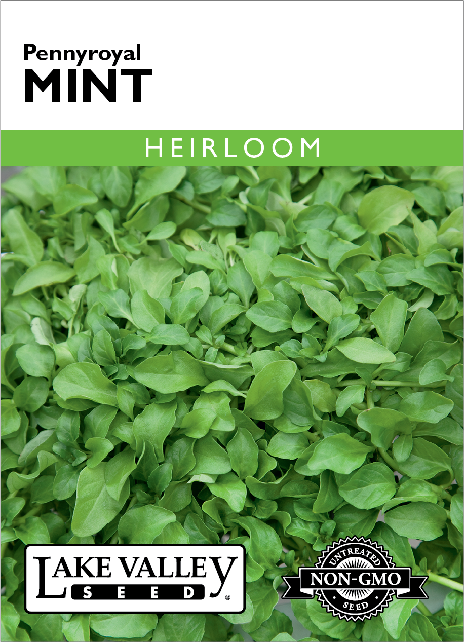 Pennyroyal - Item #692