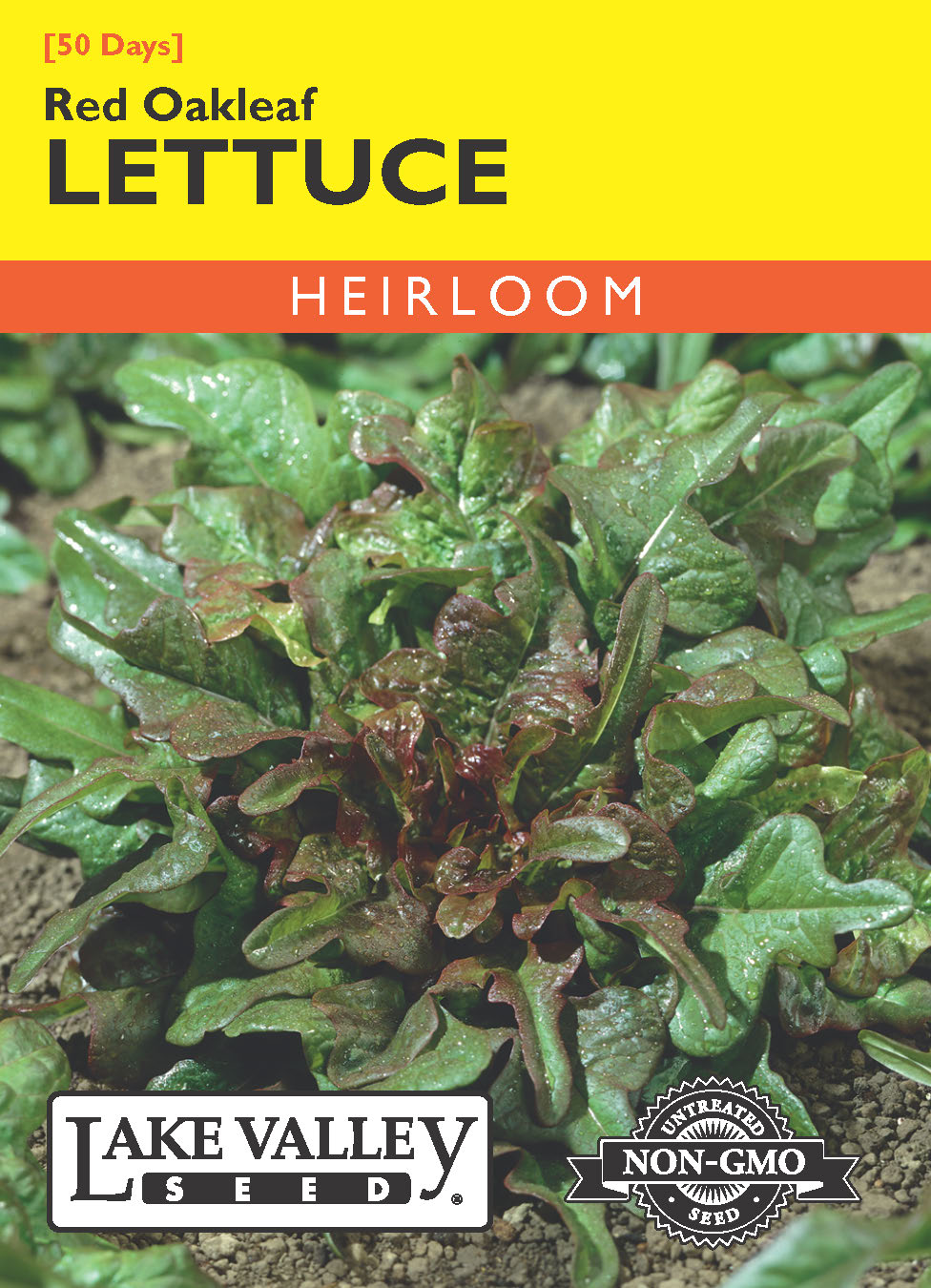 Lettuce Red Oakleaf Brunia - Item #693