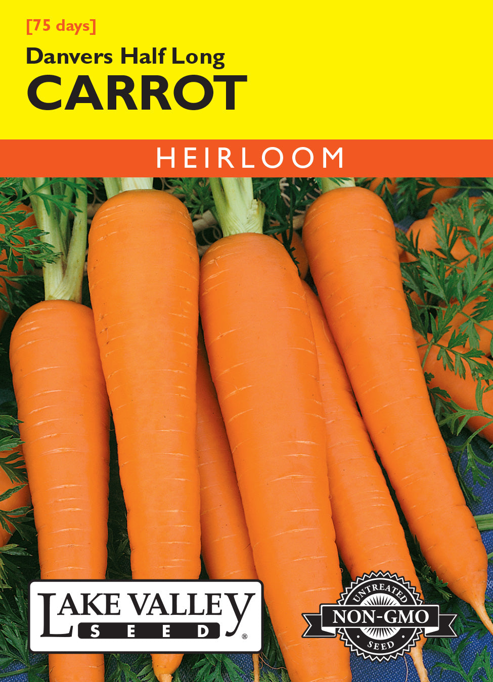Carrot Danvers Half Long - Item #71