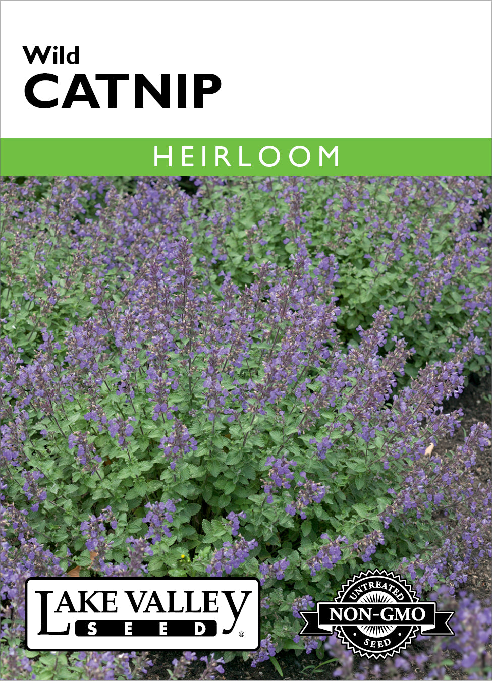Catnip Wild - Item #76