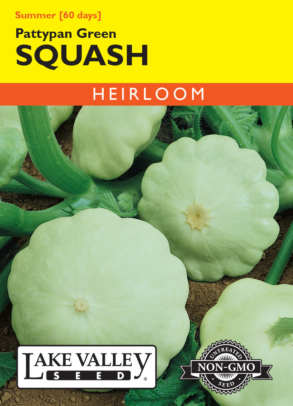 Squash (Summer) Pattypan Green - Item #8013
