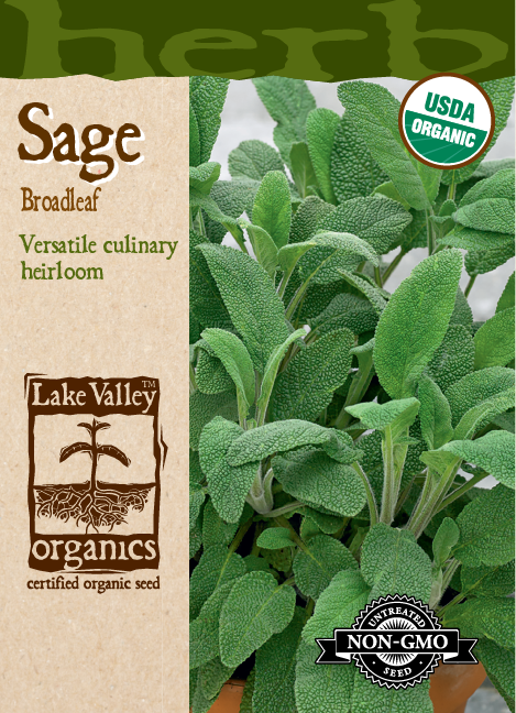 Sage Broadleaf - Item #856