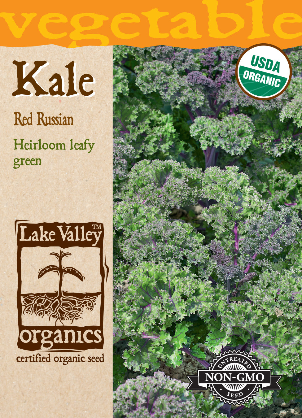Kale Red Russian - Item #859