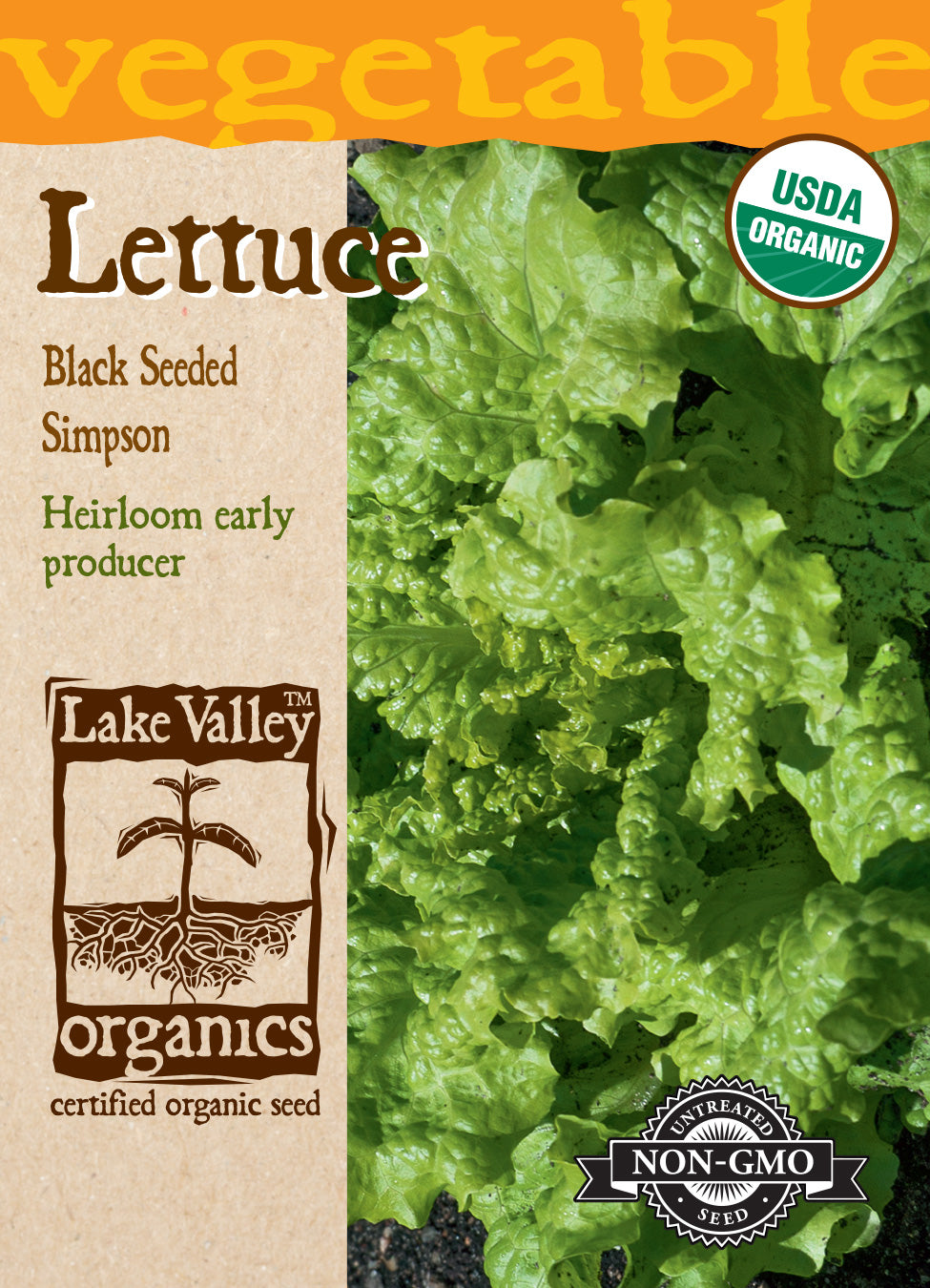 Lettuce Black Seeded Simpson - Item #860