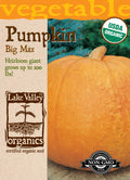 Pumpkin Big Max - Item #873