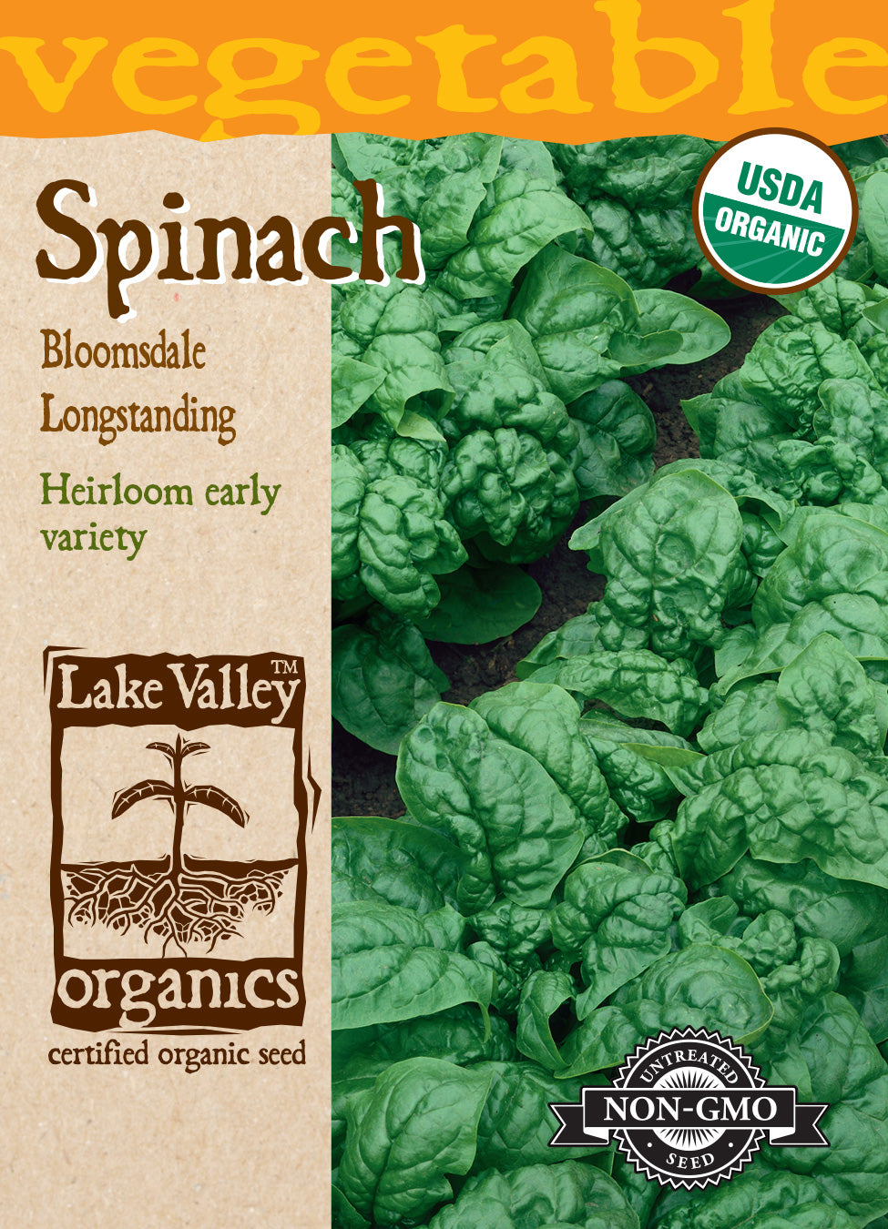 Spinach Bloomsdale Longstanding - Item #875