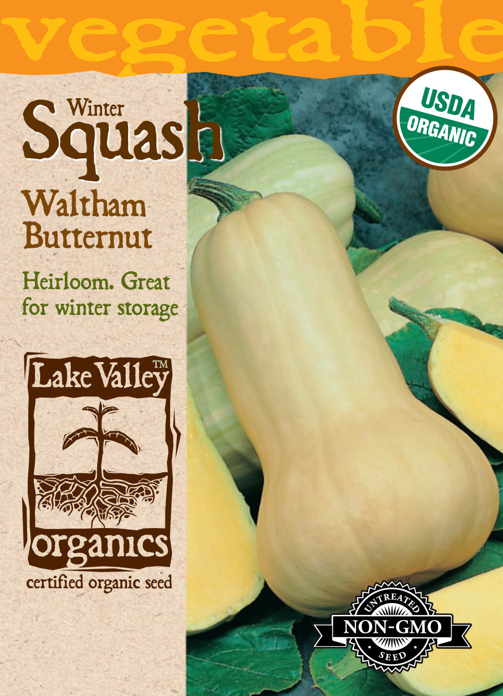 Squash (Winter) Waltham Butternut - Item #876
