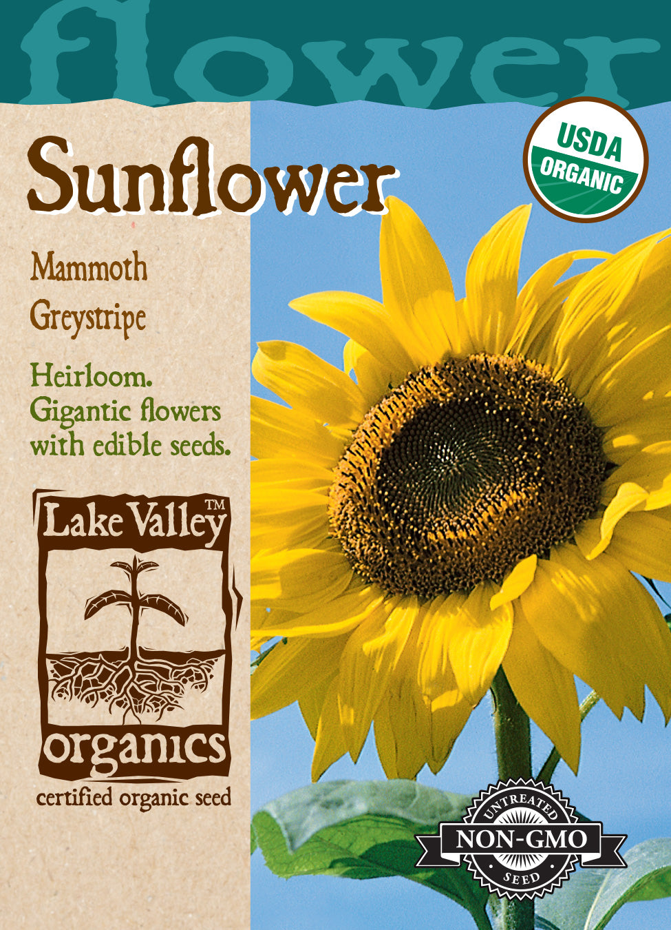 Sunflower Mammoth Greystripe - Item #887