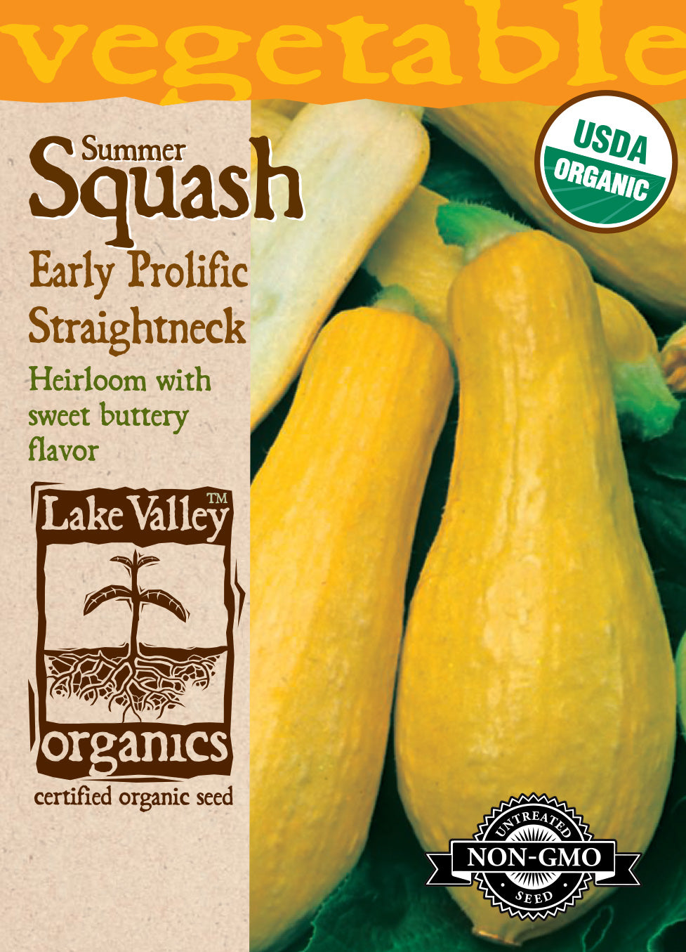 Squash (Summer) Early Prolific Straightneck - Item #892
