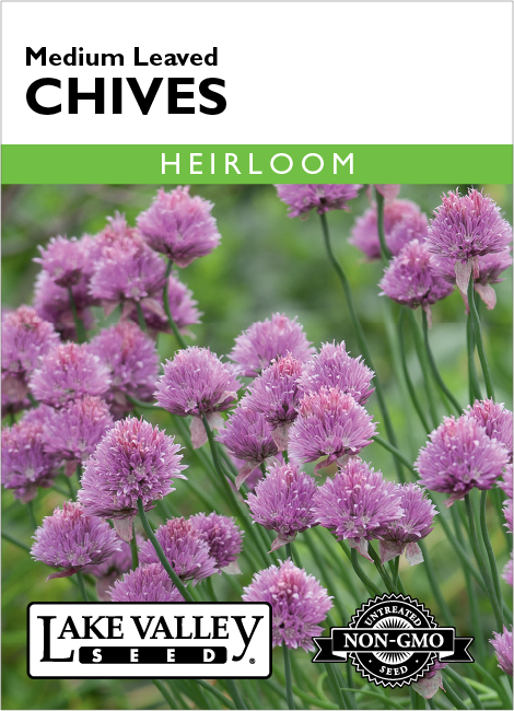 Chives Medium Leaved - Item #90