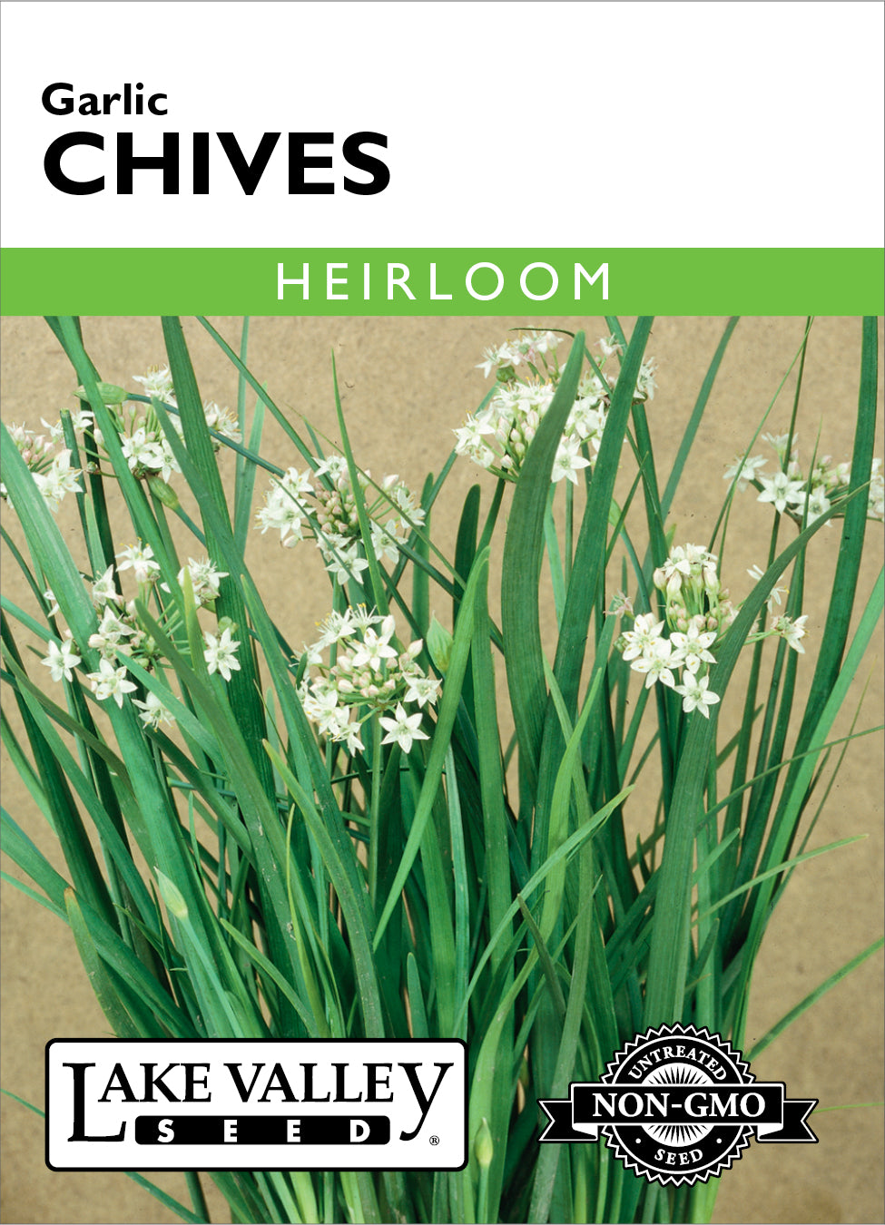 Chives Garlic - Item #91