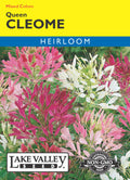 Cleome Queen Mixed Colors - Item #94