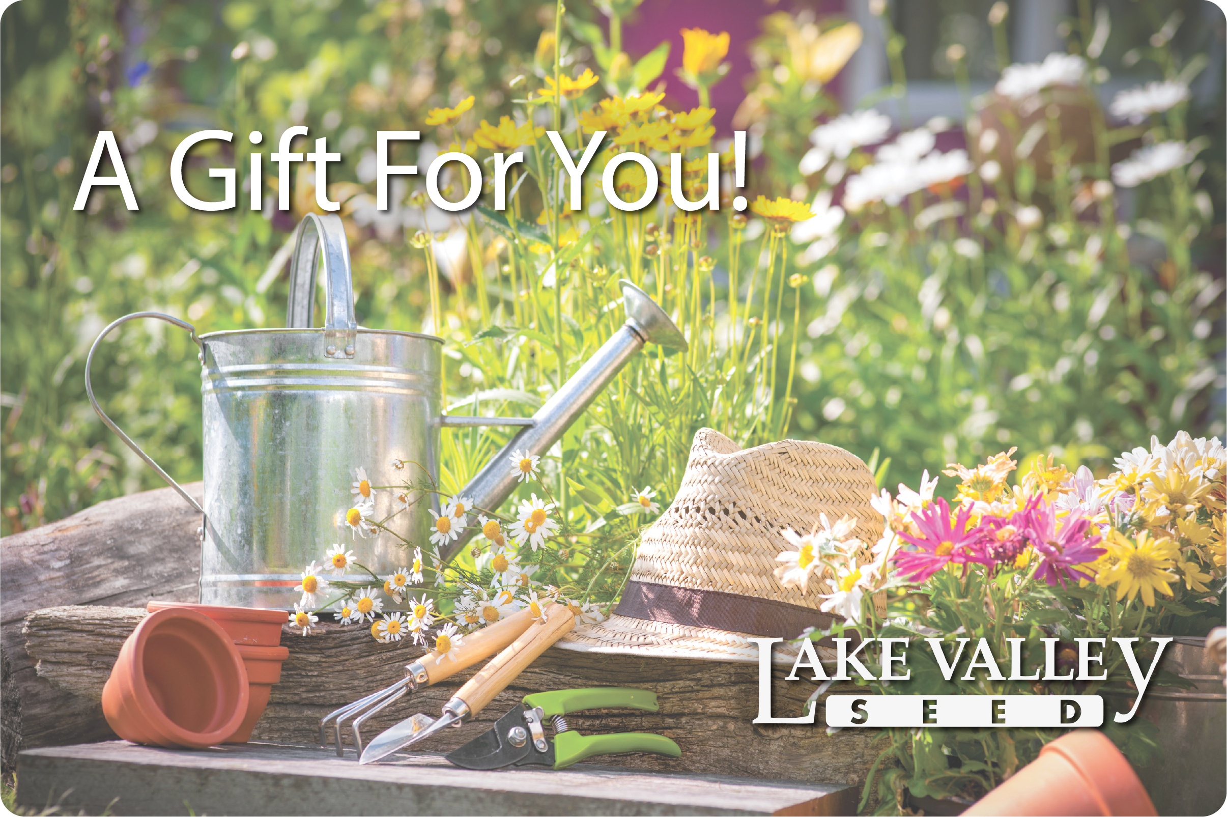 Lake Valley Seed Gift Card